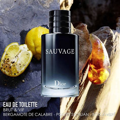 sauvage dior homme eau de toilette|Dior Sauvage for men cheap.